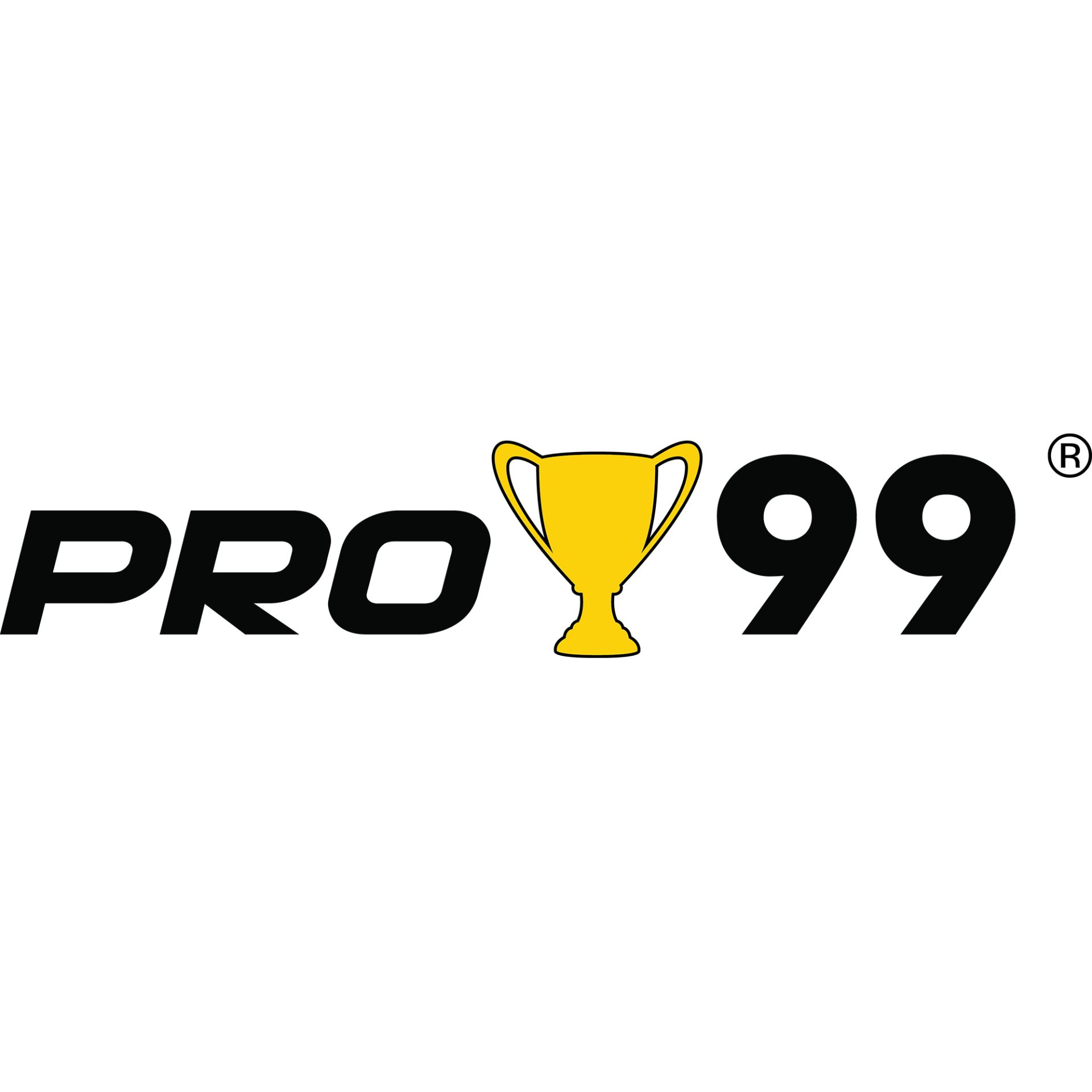 Pro99 Pro99 Brake Fluid