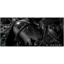 Eventuri Carbon Fiber Intake for BMW V2 BMW F87 M2, F2X M135i, M235i, F3X 335i, 435i