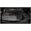 Eventuri Carbon Fiber Black and Red Engine Cover for Audi RS3 Gen 2 / TTRS 8S