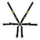 Schroth Racing Harness 6pt Profi 2x2 FHR Porsche 991 Black