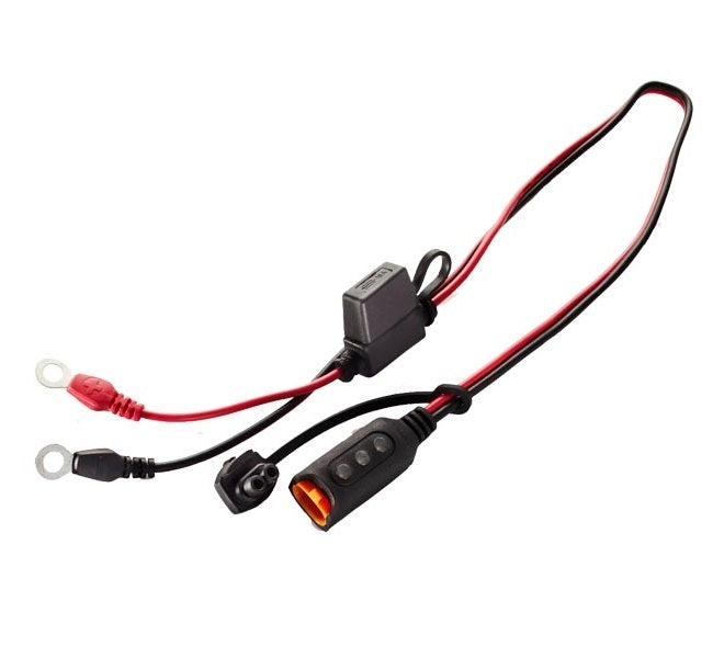 CTEK Comfort Indicator Eyelet M6