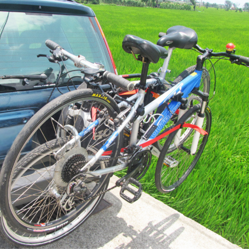 BuzzRack Bike Rack Spare Tire Mount BEETLE 4x4  (2 Bikes)